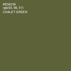 #5D6239 - Chalet Green Color Image